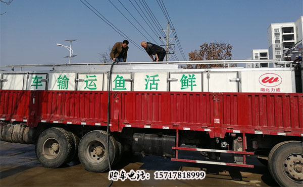 最新魚車，探索未來水上運(yùn)輸?shù)男纶厔?shì)，最新魚車引領(lǐng)未來水上運(yùn)輸新趨勢(shì)